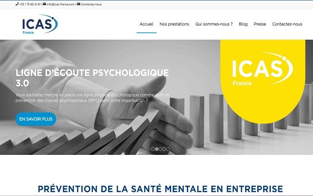 Spécialiste de la prévention de la santé mentale en entreprise en France